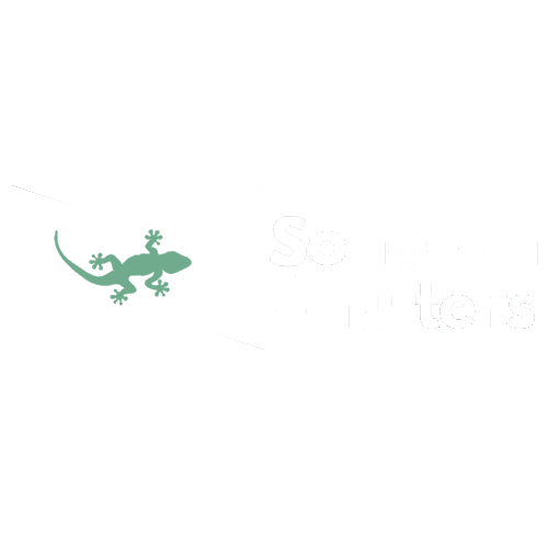 Sonoran Shutters